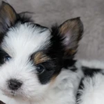 Colour Me In Ulysses