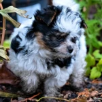 Colour me In Razzmatazz